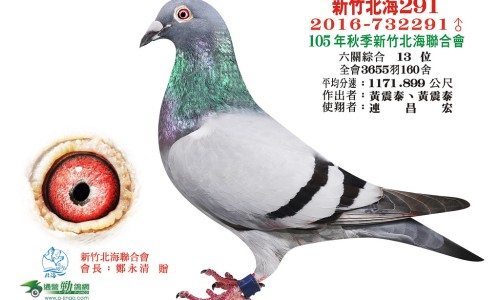 樗树根皮的药用作用是什么-古代医家用樗树根丸主治怎么病加减和小结-樗树的药用功效,中国樗树根皮的药用作用网站