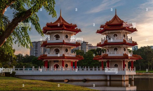 樗树根皮的药用作用是什么-古代医家用樗树根丸主治怎么病加减和小结-樗树的药用功效,中国樗树根皮的药用作用网站